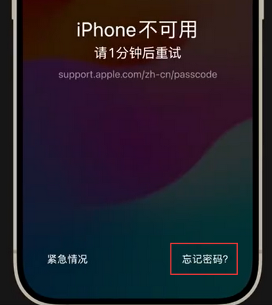 奉贤苹果手机密码维修分享iPhone忘记了刚设置的密码 